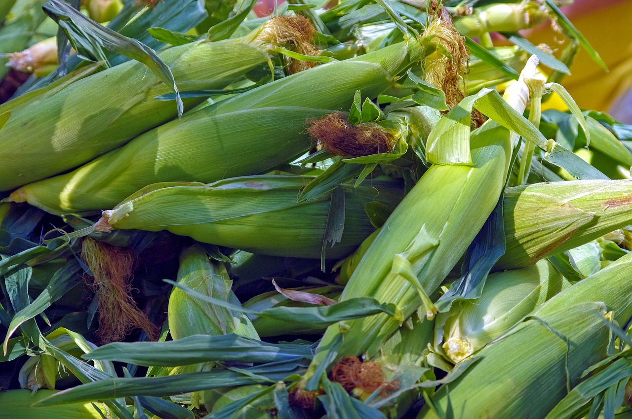 A Farmers Marketplace